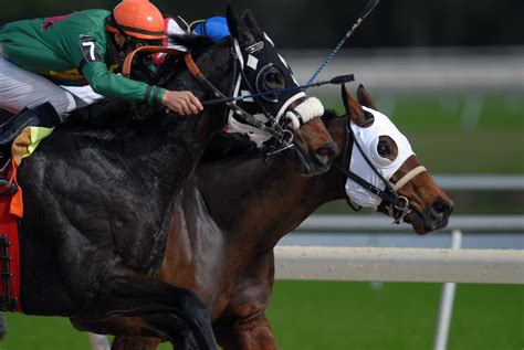 Free Bets and Horse Racing Bonus Bets .